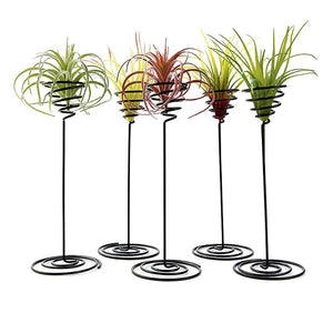 Creative Black Iron Air Pineapple Base Plant Flower Pot Rack Holder Home Balcony Garden Decor Supplies Landscape Accessories