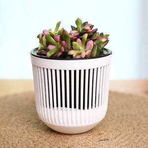 hollow-out flower pots  Hydroponics Plant Water Storage Automatic Water Absorption  Resin Flowerpot Garden Accessory