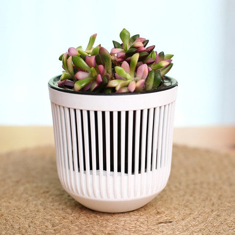 hollow-out flower pots  Hydroponics Plant Water Storage Automatic Water Absorption  Resin Flowerpot Garden Accessory