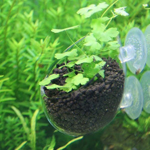 Aquarium Cups Decoration Hanging Fish Tank Mini Crystal Glass Pot Polka Water Potted Planting Cylinder Cup aquarium Accessories