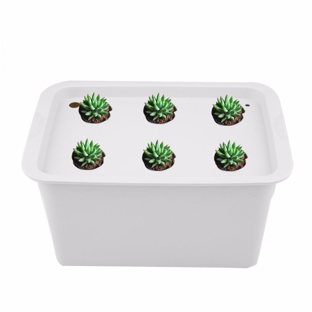 6 Holes 220V/110V Plant Site Hydroponic System Indoor Garden Cabinet Box Grow Kit Bubble Garden Pots Planters Nursery Pots