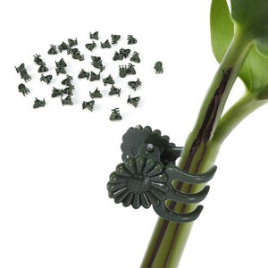 10pcs Plastic Orchid Clip Vine Garden Butterfly Decoration Plant Fixing Supplies Green Decorative Accessories Flower Gardener