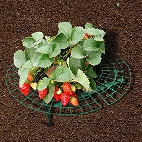 Strawberry Supports Plant Growing Supports Plant Cradle Rack Keeping Fruit Elevated To Avoid Ground Rot Garden Accessories