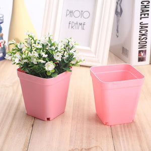 Flower Pot 8*7cm Plastic Square Planters Soil Accessories Vase Plant Care Colorful Multi-Meat Basin Gardening Supplies Mini