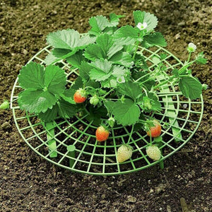 Plant Cradle Rack Strawberry Supports Plant Growing Supports Keeping Fruit Elevated To Avoid Ground Rot Garden Accessories