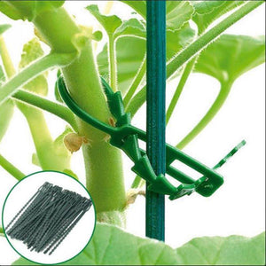 GloryStar 50Pcs/Set Fishbone Shape Bandage Green Plastic  Fastening Strap Bandage Vegetable Planting Accessories