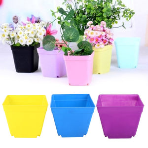 Flower Pot Square Planters Colorful Creative Plastic 10*10cm Vase Soil Accessories Gardening Supplies Plant Care Mini Desktop
