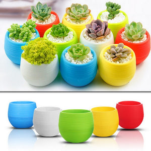 Mini Colorful Flower Pots Planters Succulents Indoor Herb Potted Plants Office Decoration Planter Pot Garden Home Accessories