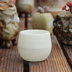 Mini Colorful Flower Pots Planters Succulents Indoor Herb Potted Plants Office Decoration Planter Pot Garden Home Accessories