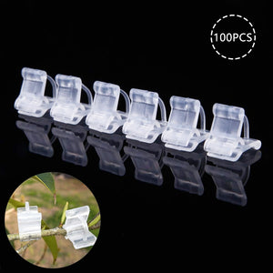 100 Pcs/set Mini Grafting Clips Plastic Transparent Vegetable Flower Plants Grafting Clips Gardening Ornaments Tools