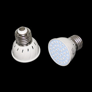 220V/110V 3W Plant growth Light Garden Grow box Flower seedling Plant pot  Nursery Fill Light Indoor Plant Lamp 1 Pcs